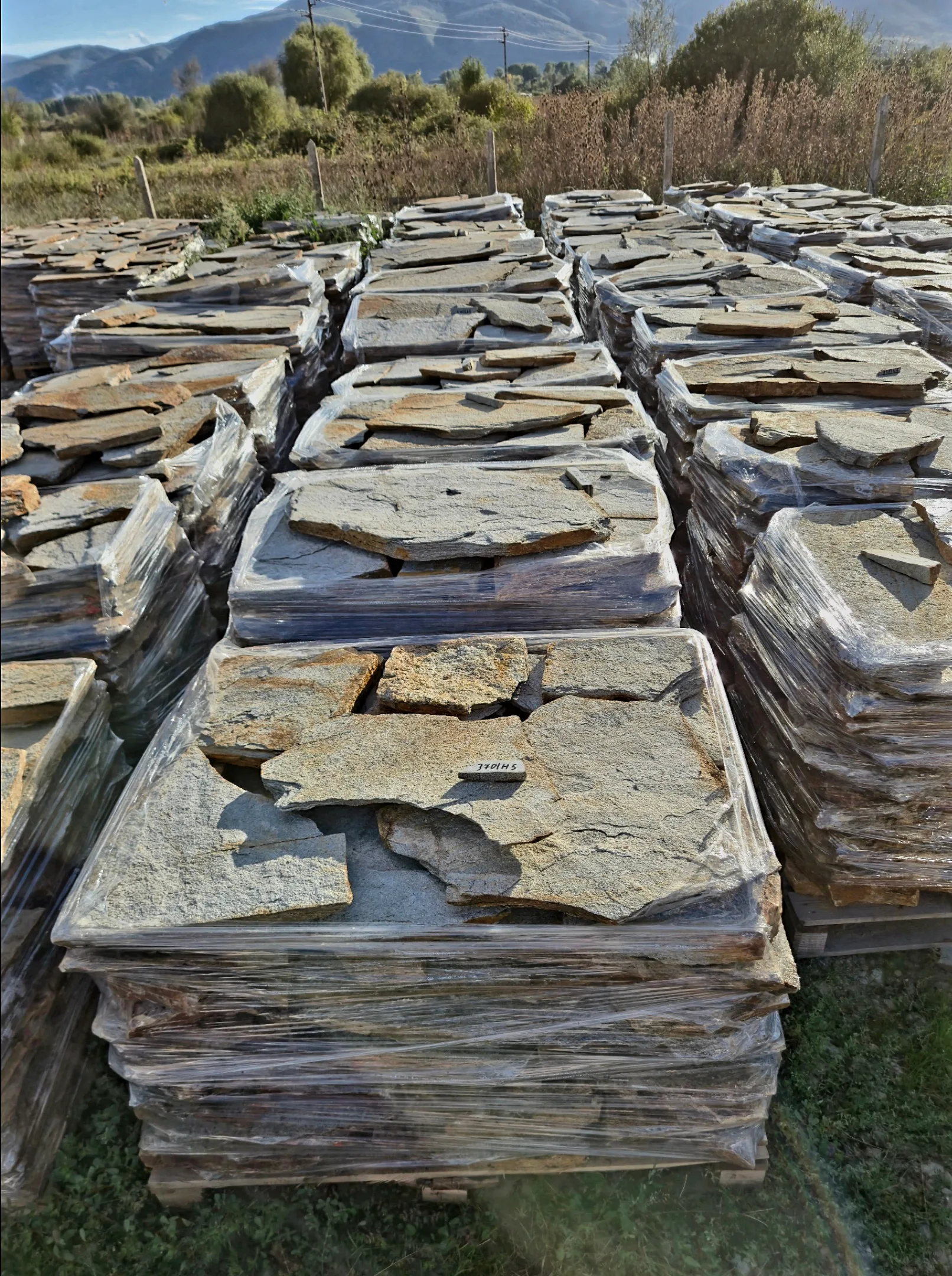 Photo of H5 (1)
