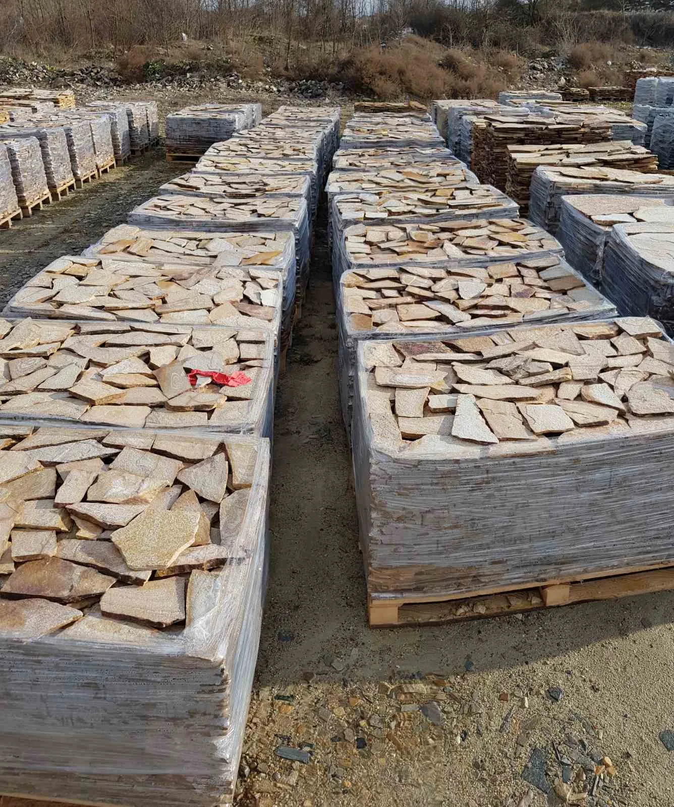 Stone yard filled with pallets of yellow irregular gneiss flagstones